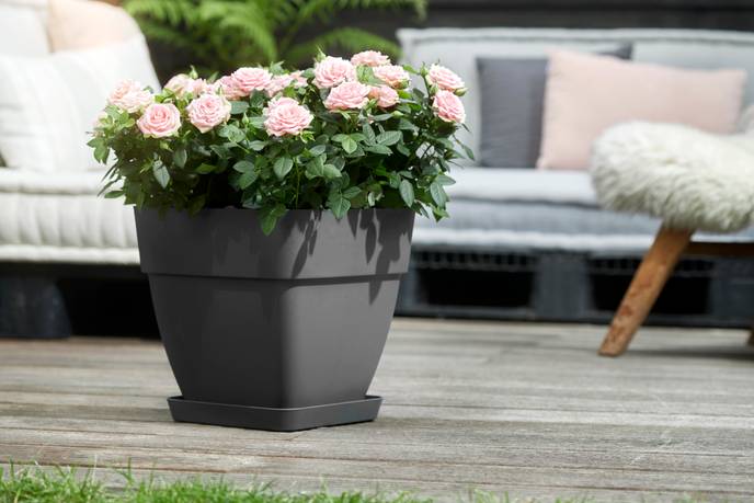 vibia campana carré 37cm anthracite